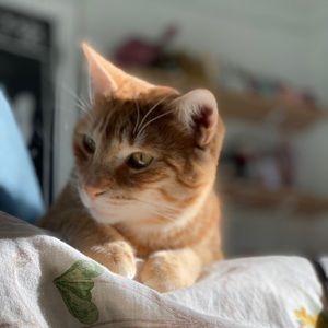 Meet your Posher, Gabby